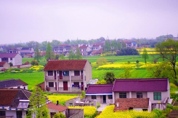 _IGP38112.jpg