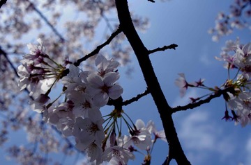 _IGP0609.jpg