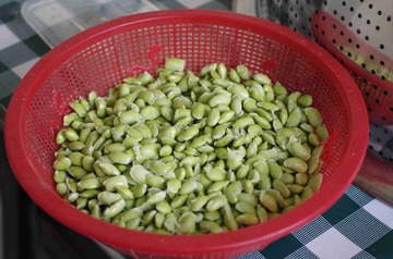 _IGP3509.JPG