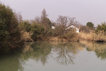 SDIM1252