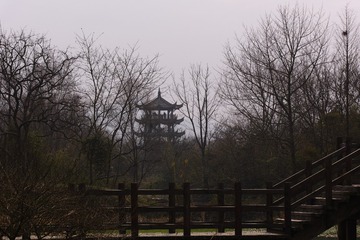 SDIM1262