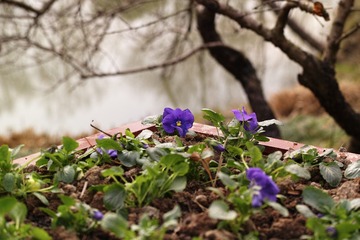 SDIM1280