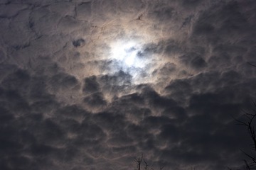 SDIM1304