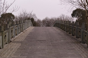 SDIM1321