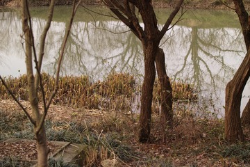 SDIM1400