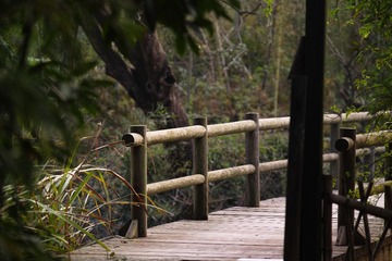 SDIM1478