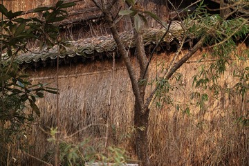 SDIM1502