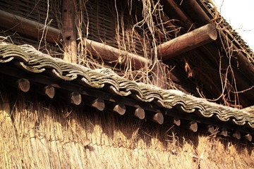 SDIM1507