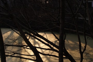 SDIM1587