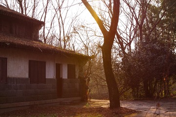 SDIM1592
