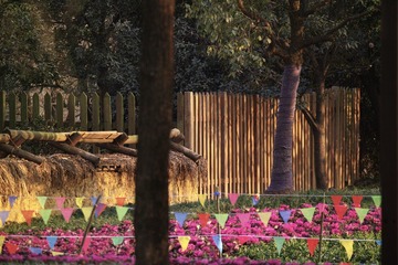 SDIM1640