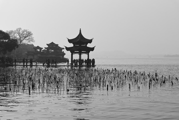 SDIM0555