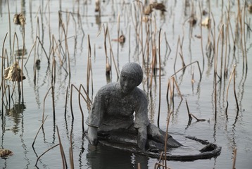 SDIM0571