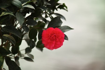 SDIM0630