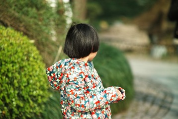 SDIM0766