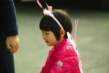 SDIM0785