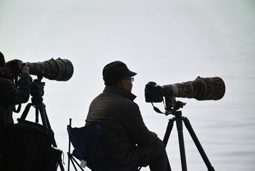 SDIM0786