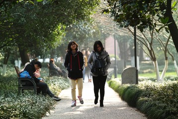 SDIM0832