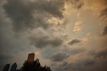 DP0Q1254