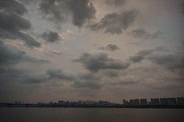 DP0Q1256