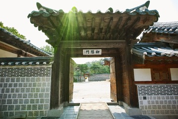 DP0Q1546