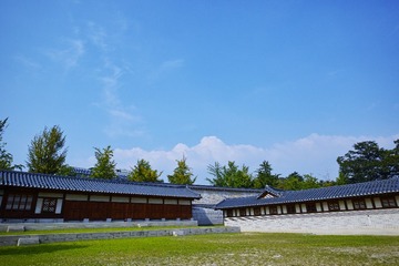 DP0Q1549