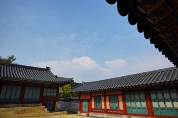 DP0Q1565