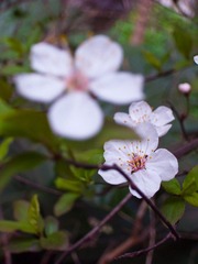 R0012236.jpg