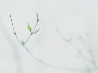 2016-03-20 12.33.50 1