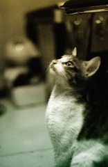 DSC_0134.jpg
