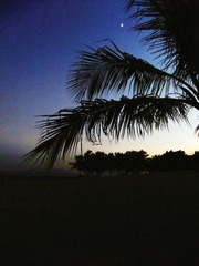 DF_DSCF8225.jpg