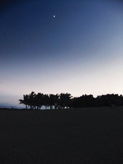 DSCF8222.jpg