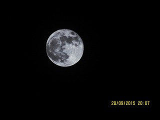 IMG_2212小