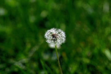 IMG_4609.jpg