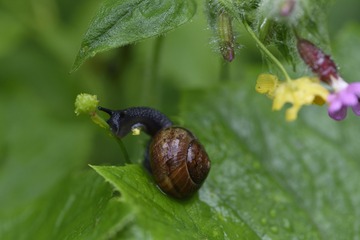 IMG_4616.jpg