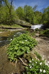 IMG_4630.jpg