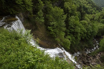 IMG_4636.jpg