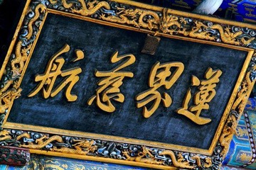 照片 549.jpg