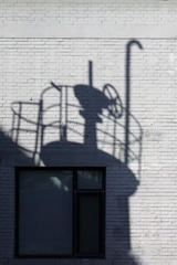 _MG_6920.JPG