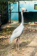 _DSC0774