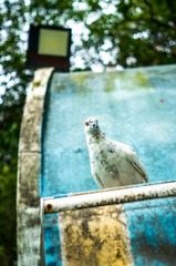 _DSC0895