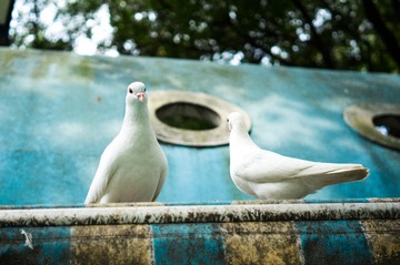_DSC0899