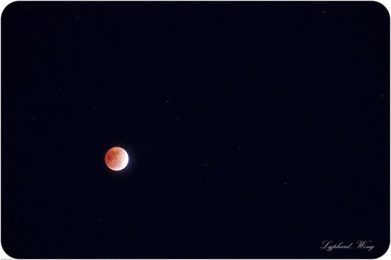 IMG_3282.jpg