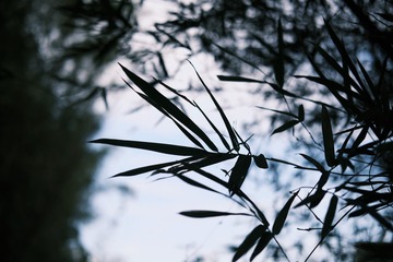 36012