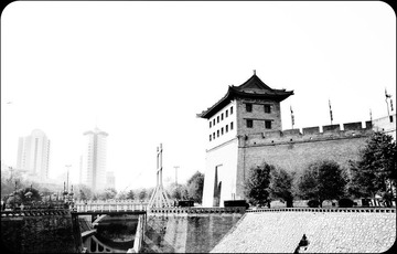 P1000739.jpg