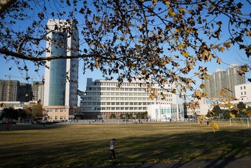 _1010260.jpg