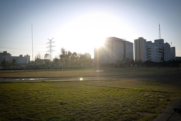 _1010279.jpg