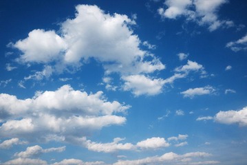 _1020677.jpg
