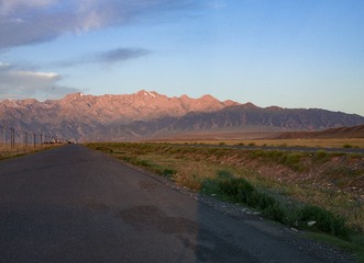 A0016446
