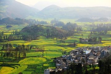 螺丝村
